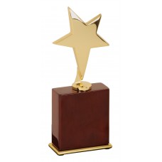 "New"  Gold Star Award with Piano finish